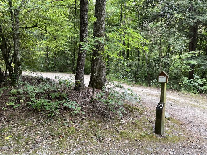 A photo of Site 023 of Loop CAVE MOUNTAIN LAKE FAMILY CAMP at CAVE MOUNTAIN LAKE FAMILY CAMP with No Amenities Shown