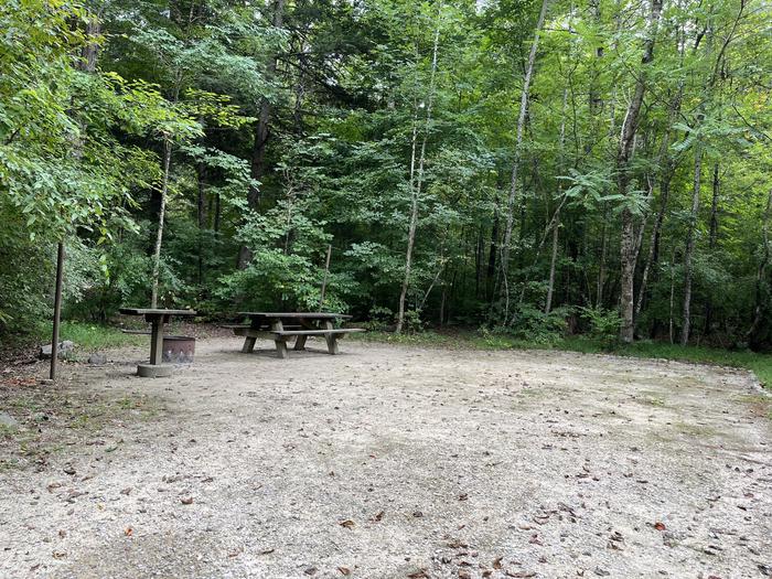 A photo of Site 024 of Loop CAVE MOUNTAIN LAKE FAMILY CAMP at CAVE MOUNTAIN LAKE FAMILY CAMP with Picnic Table, Fire Pit, Shade, Tent Pad, Lantern Pole