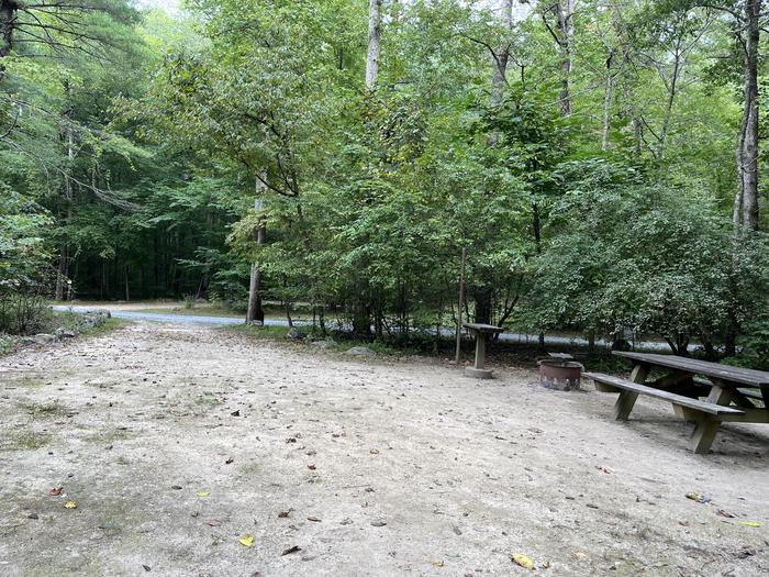 A photo of Site 024 of Loop CAVE MOUNTAIN LAKE FAMILY CAMP at CAVE MOUNTAIN LAKE FAMILY CAMP with Picnic Table, Fire Pit, Shade, Tent Pad, Lantern Pole