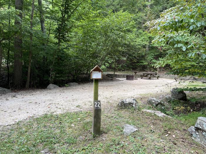 A photo of Site 022 of Loop CAVE MOUNTAIN LAKE FAMILY CAMP at CAVE MOUNTAIN LAKE FAMILY CAMP with No Amenities Shown