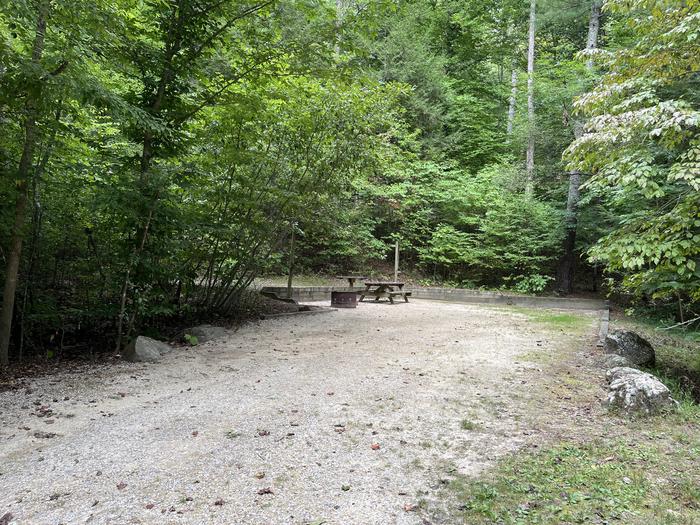 A photo of Site 022 of Loop CAVE MOUNTAIN LAKE FAMILY CAMP at CAVE MOUNTAIN LAKE FAMILY CAMP with Picnic Table, Fire Pit, Shade, Tent Pad, Lantern Pole