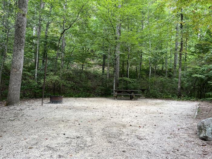 A photo of Site 021 of Loop CAVE MOUNTAIN LAKE FAMILY CAMP at CAVE MOUNTAIN LAKE FAMILY CAMP with Picnic Table, Fire Pit, Shade, Lantern Pole