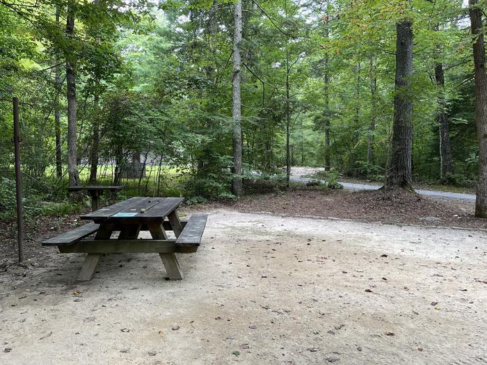 A photo of Site 021 of Loop CAVE MOUNTAIN LAKE FAMILY CAMP at CAVE MOUNTAIN LAKE FAMILY CAMP with Picnic Table, Shade, Tent Pad