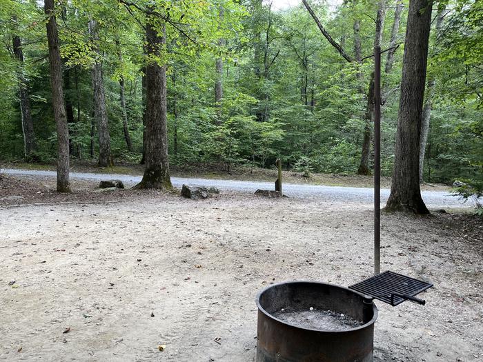 A photo of Site 021 of Loop CAVE MOUNTAIN LAKE FAMILY CAMP at CAVE MOUNTAIN LAKE FAMILY CAMP with Fire Pit, Tent Pad, Lantern Pole