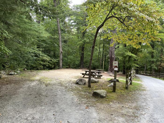 A photo of Site 020 of Loop CAVE MOUNTAIN LAKE FAMILY CAMP at CAVE MOUNTAIN LAKE FAMILY CAMP with Shade, Tent Pad