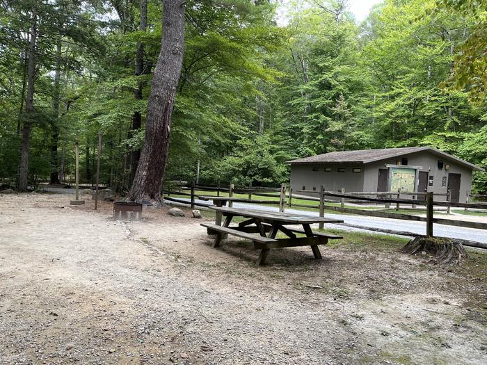 A photo of Site 020 of Loop CAVE MOUNTAIN LAKE FAMILY CAMP at CAVE MOUNTAIN LAKE FAMILY CAMP with Picnic Table, Fire Pit, Lantern Pole