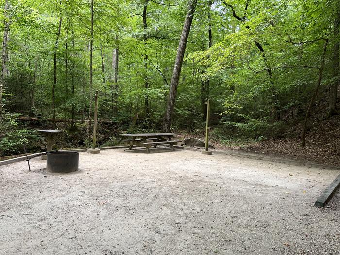 A photo of Site 035 of Loop B at CAVE MOUNTAIN LAKE FAMILY CAMP with Picnic Table, Fire Pit, Tent Pad, Lantern Pole