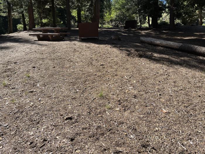 Tent pad area showing picnic table and bear box with a campsite nearbyTent pad area