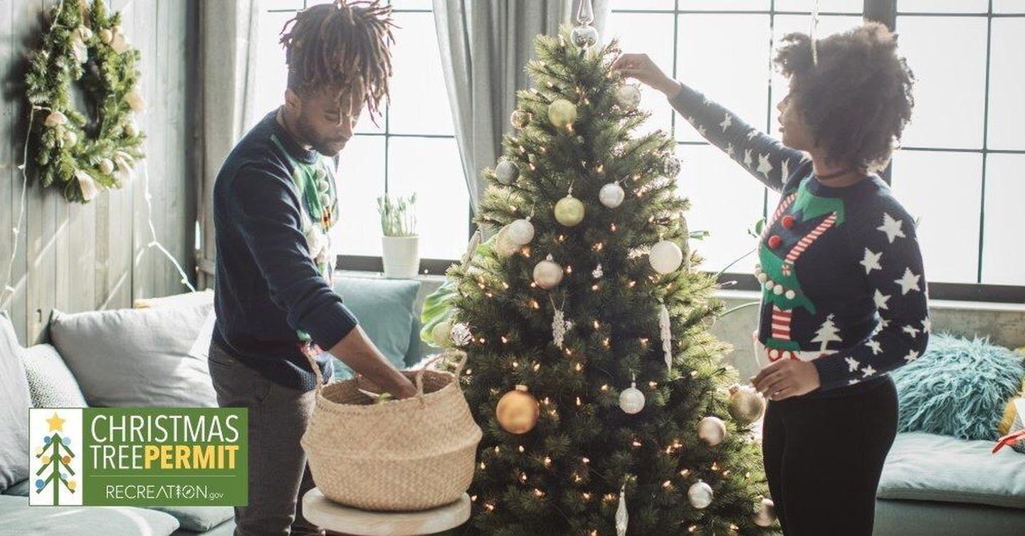 Decorating the Christmas Tree