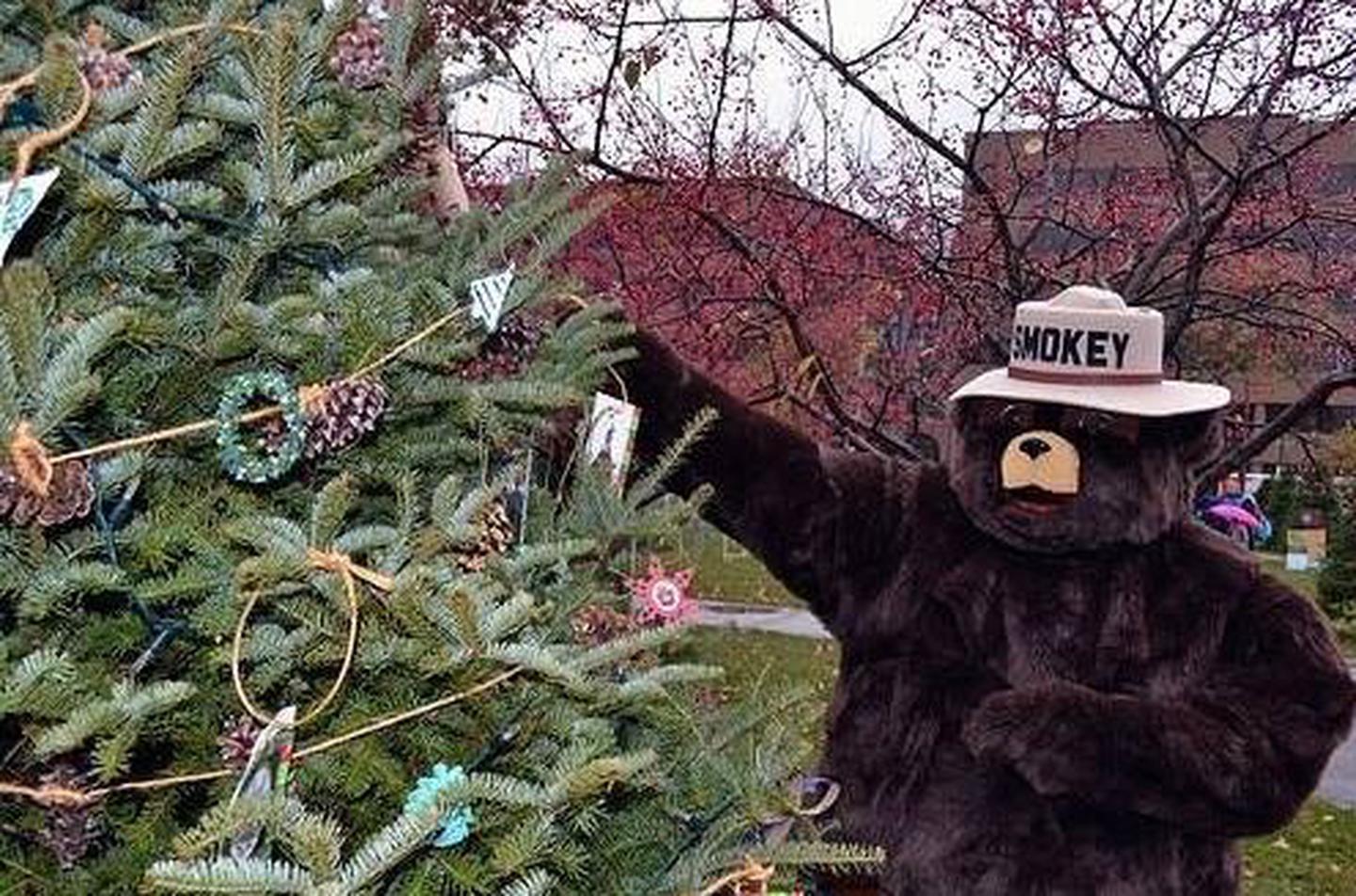 Smokey and the Capital Christmas Tree