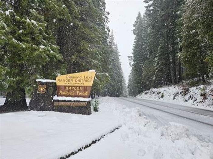 Snowy Day on the Umpqua NF