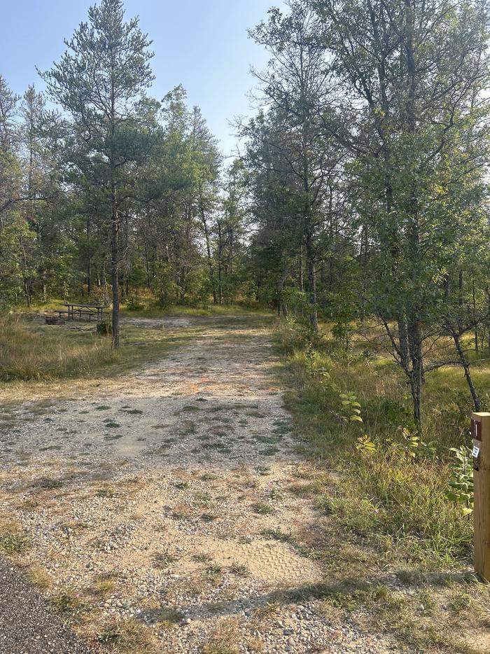 A photo of Site 1 of Loop Lower at Kneff Lake Campground with Picnic Table, Fire Pit