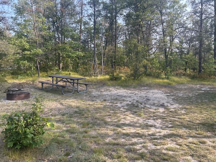 A photo of Site 1 of Loop Lower at Kneff Lake Campground with Picnic Table, Fire Pit