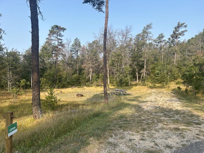 A photo of Site 4 of Loop Lower at Kneff Lake Campground with Picnic Table, Fire Pit