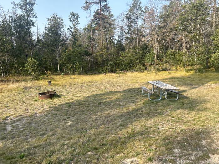 A photo of Site 4 of Loop Lower at Kneff Lake Campground with Picnic Table, Fire Pit