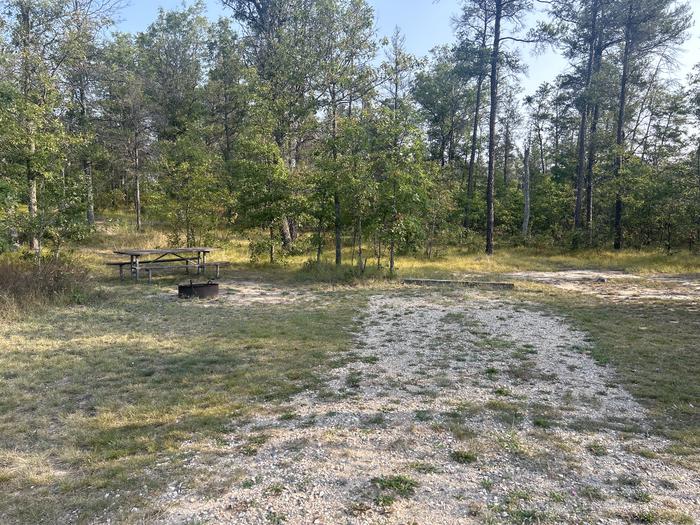 A photo of Site 3 of Loop Lower at Kneff Lake Campground with Picnic Table, Fire Pit