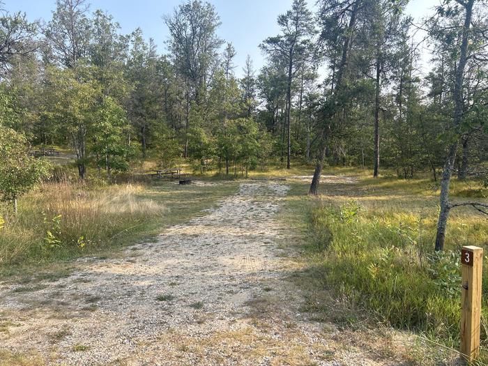 A photo of Site 3 of Loop Lower at Kneff Lake Campground with Picnic Table, Fire Pit