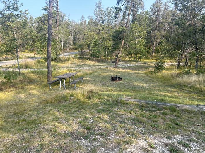 A photo of Site 5 of Loop Lower at Kneff Lake Campground with Picnic Table, Fire Pit