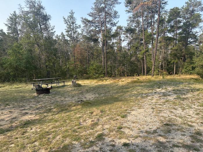 A photo of Site 7 of Loop Lower at Kneff Lake Campground with Picnic Table, Fire Pit