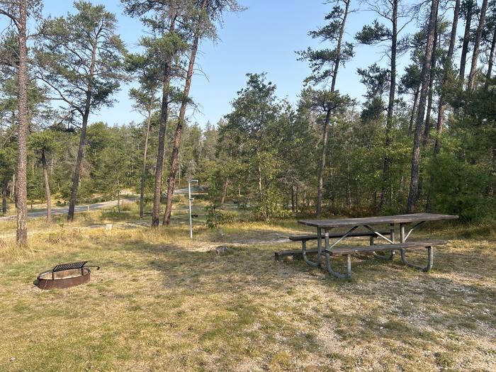 A photo of Site 8 of Loop Lower at Kneff Lake Campground with Picnic Table, Fire Pit, Lantern Pole