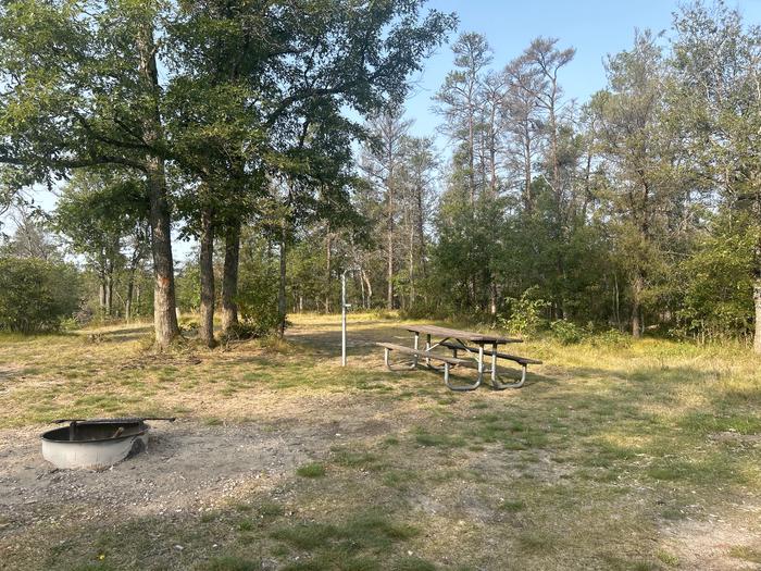 A photo of Site 11 of Loop Lower at Kneff Lake Campground with Picnic Table, Fire Pit, Lantern Pole