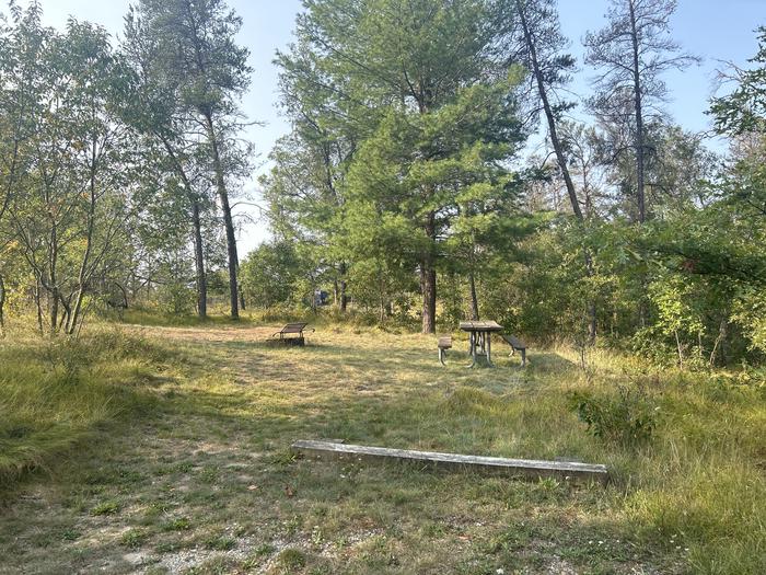 A photo of Site 13 of Loop Lower at Kneff Lake Campground with Picnic Table, Fire Pit