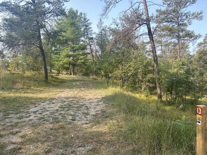 A photo of Site 13 of Loop Lower at Kneff Lake Campground with Picnic Table, Fire Pit