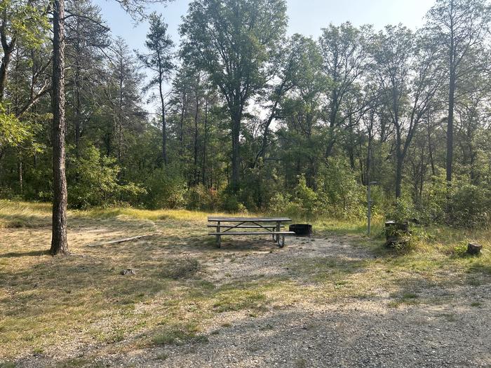 A photo of Site 14 of Loop Lower at Kneff Lake Campground with Picnic Table, Fire Pit, Lantern Pole