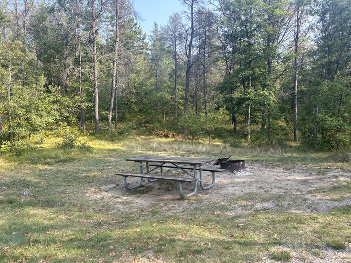 A photo of Site 15 of Loop Lower at Kneff Lake Campground with Picnic Table, Fire Pit