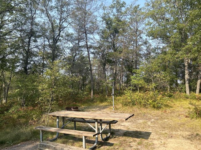 A photo of Site 19 of Loop Upper at Kneff Lake Campground with Picnic Table, Fire Pit, Lantern Pole