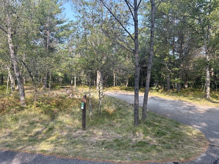 A photo of Site 21 of Loop Upper at Kneff Lake Campground with Picnic Table, Fire Pit