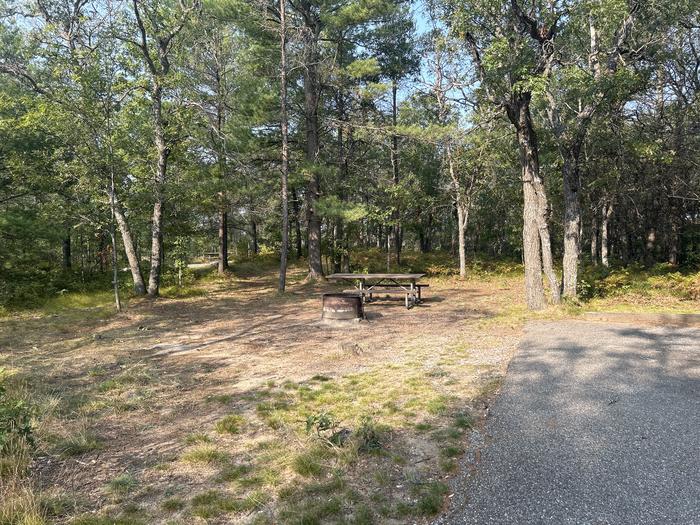 A photo of Site 21 of Loop Upper at Kneff Lake Campground with Picnic Table, Fire Pit