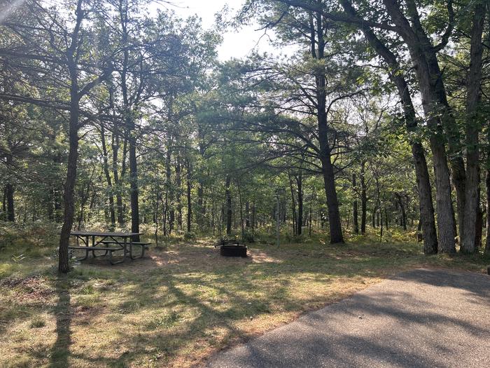 A photo of Site 24 of Loop Upper at Kneff Lake Campground with Picnic Table, Fire Pit, Lantern Pole