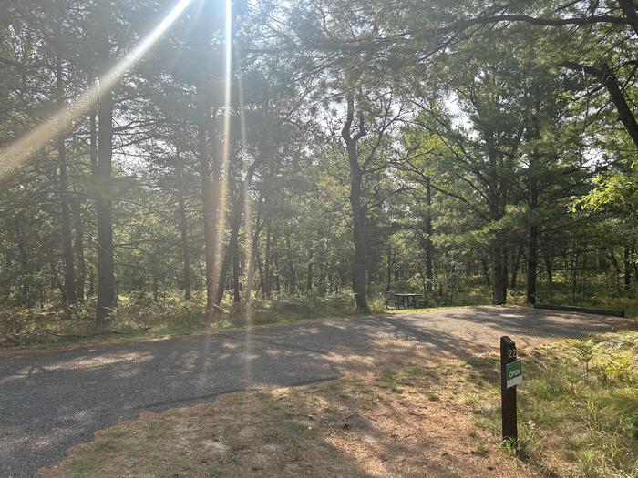 A photo of Site 22 of Loop Upper at Kneff Lake Campground with Picnic Table, Fire Pit