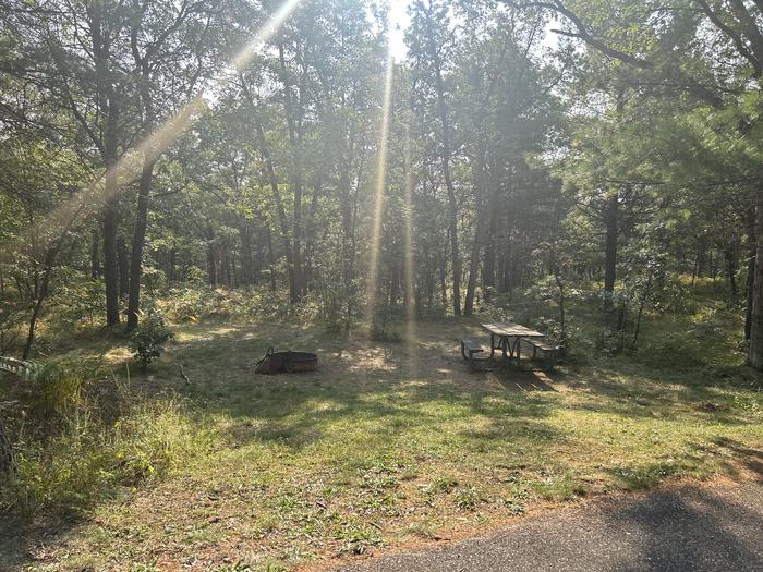 A photo of Site 22 of Loop Upper at Kneff Lake Campground with Picnic Table, Fire Pit