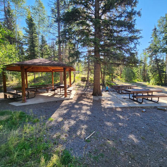 Tasha Group site pavilion.Photo of Tasha Group site pavilion and picnic tables.