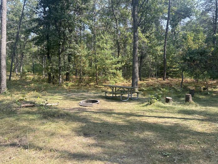 Campfire ring and picnic table at campsite 19