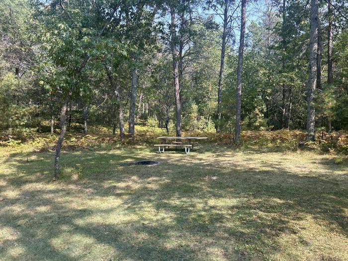 Campfire ring and picnic table at campsite 15