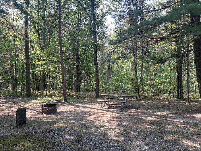 A photo of Site 11 of Loop Island Lake at Island lake (MI) with Picnic Table, Fire Pit