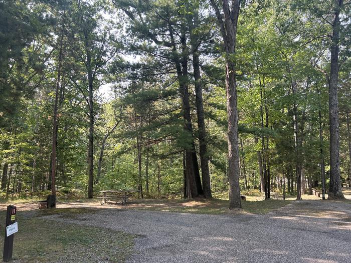 A photo of Site 11 of Loop Island Lake at Island lake (MI) with Picnic Table, Fire Pit