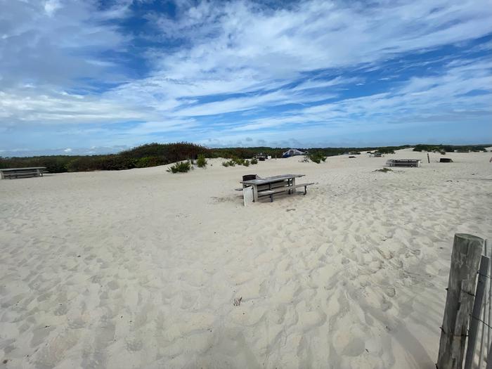 Oceanside site 58 in September 2024.  View from far away of the wooden picnic table and black metal fire ring on the sand.  Other campsites within the view.Oceanside site 58 - September 2024.