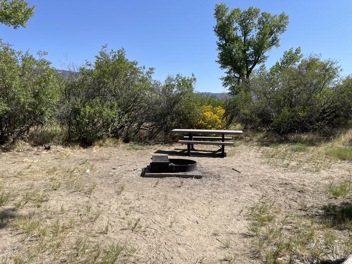 A photo of Site 65 of Loop C at GREEN RIVER CAMPGROUND with Picnic Table, Fire Pit