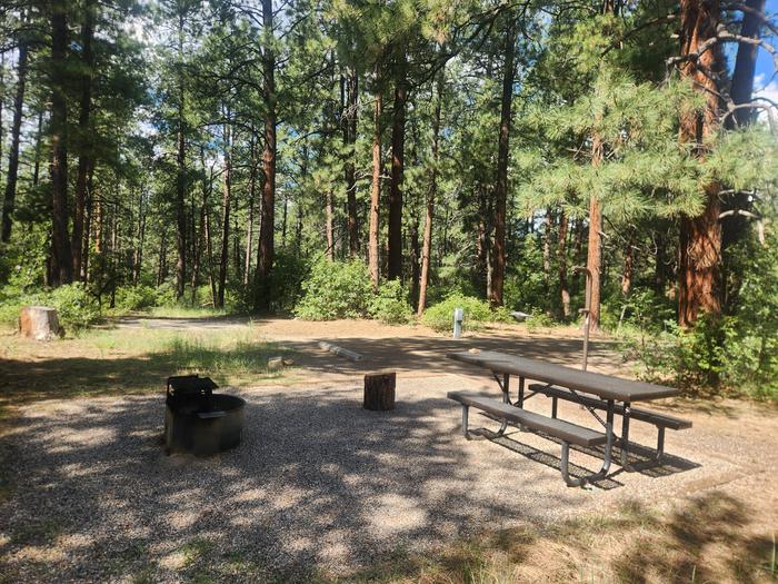 E9 picnic table and fire ring area