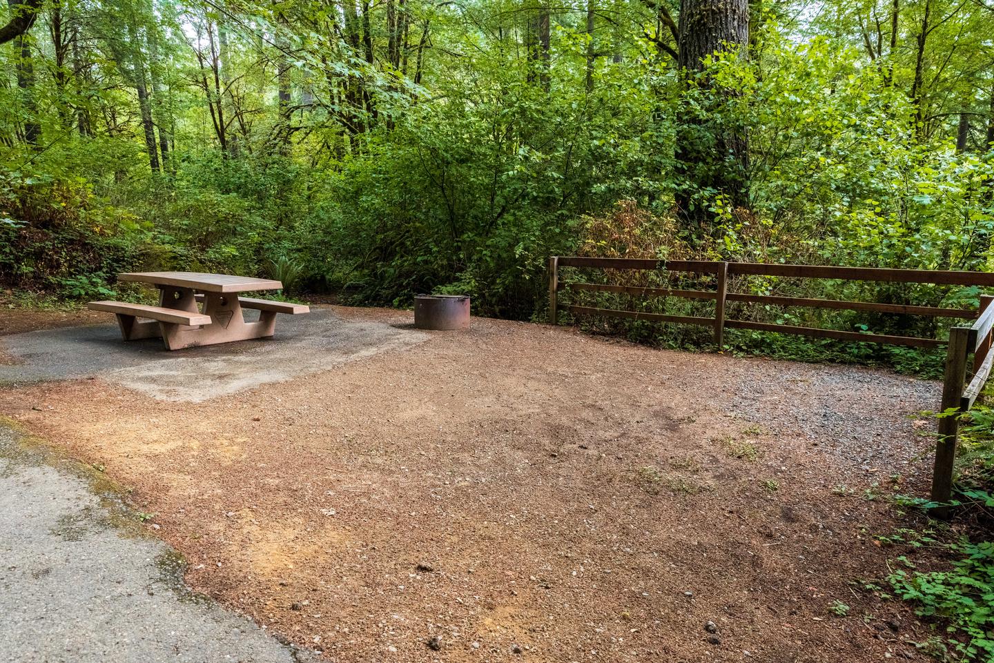 Picnic table, fire ring, and tent pad.