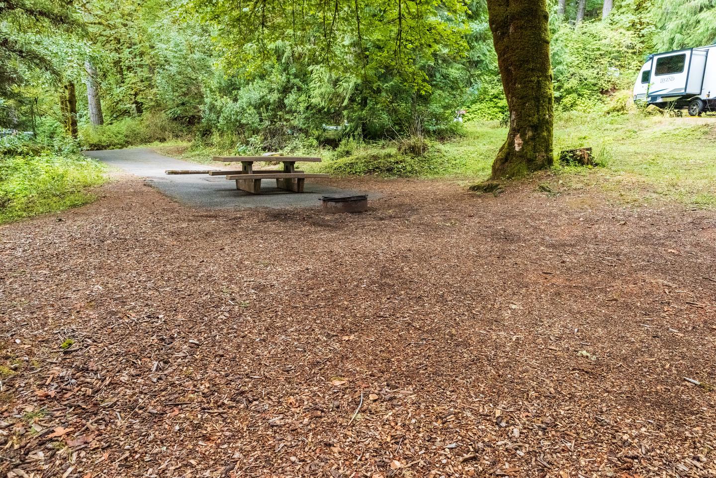 Site 36 tent pad, fire ring, and picnic table