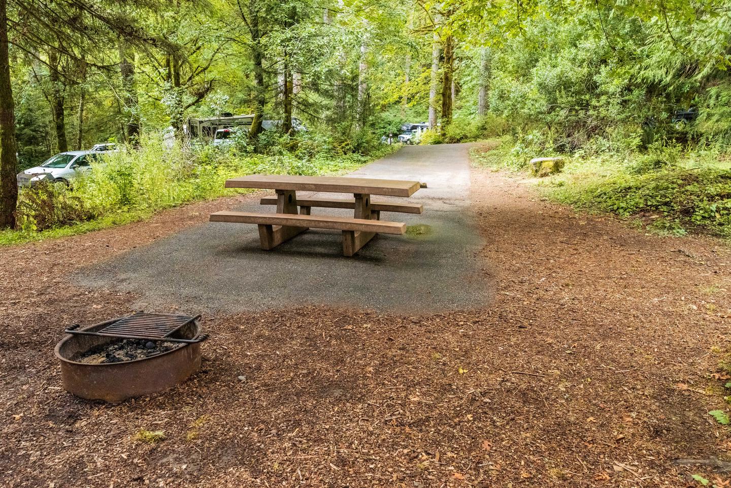 Site 36 tent pad, fire ring, picnic table (driveway: 62ft)