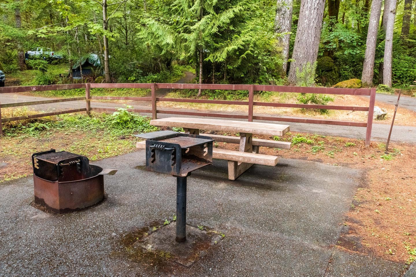 Campsite #48 picnic table, bbq grill, and firepit.