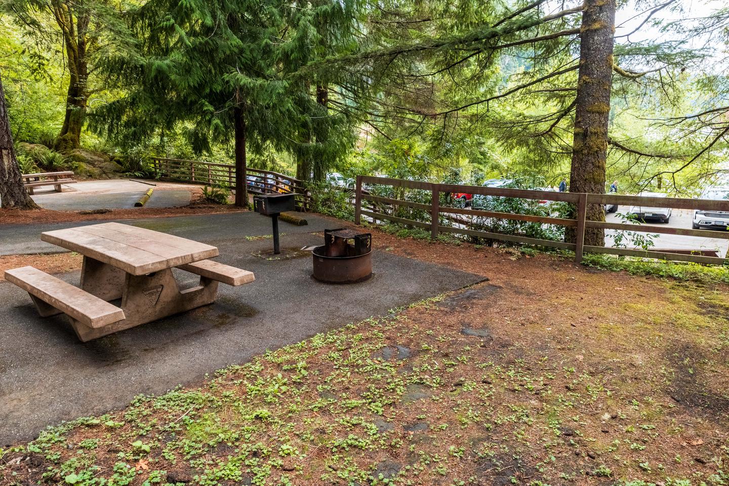 Tent pad, picnic table, fire ring and BBQ grill.