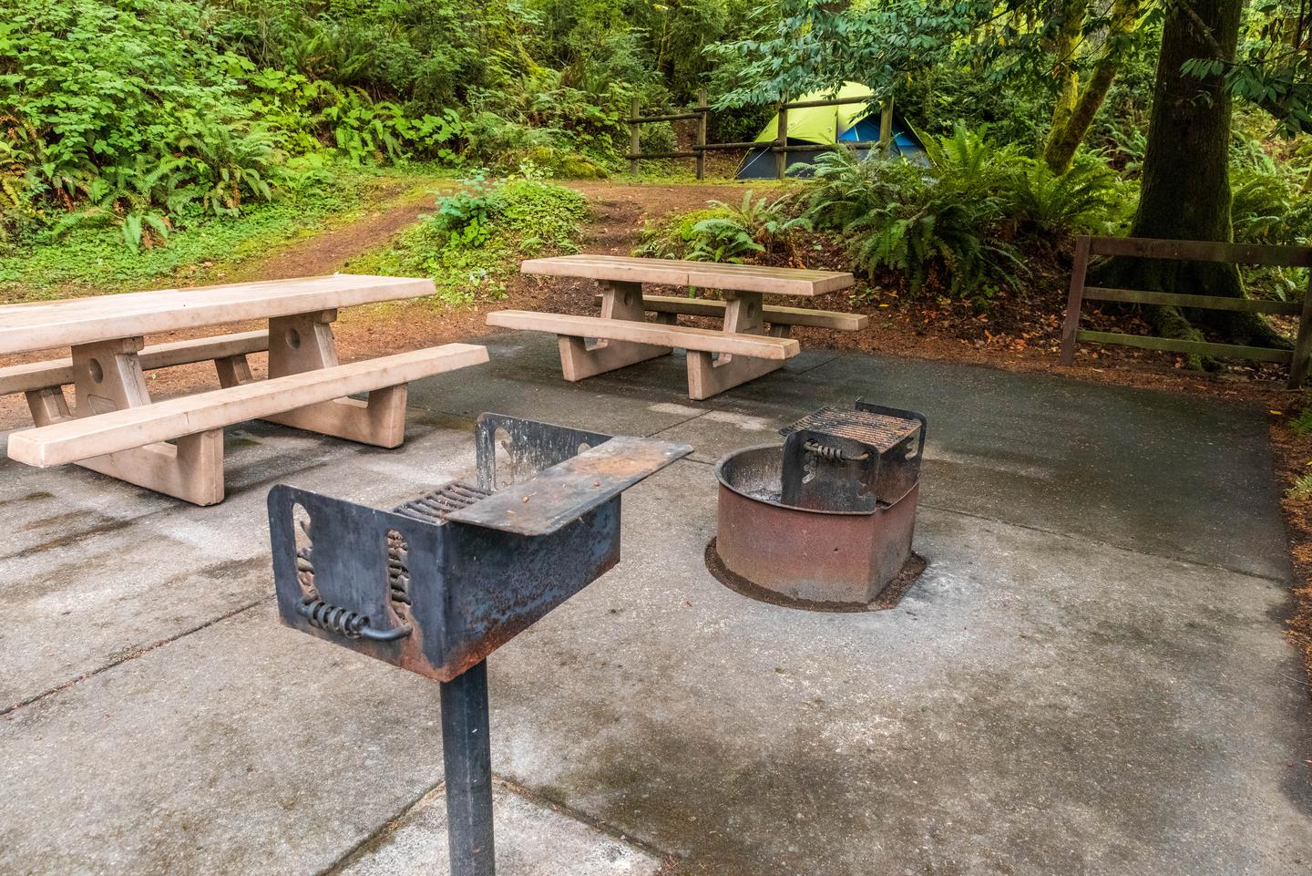 Picnic tables, fire pit, BBQ grill, and tent pad.