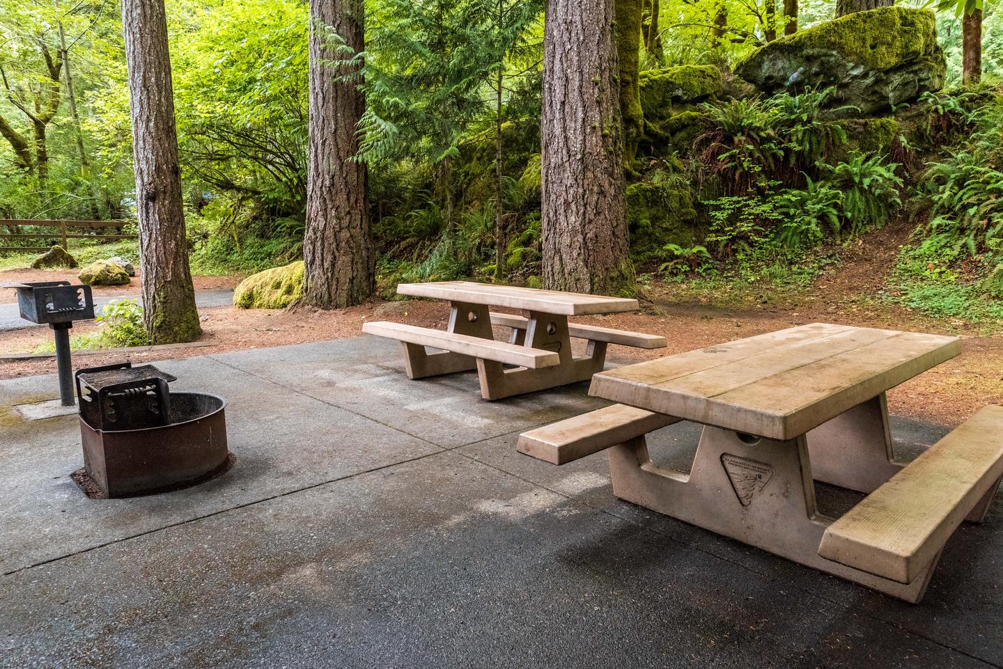 Campsite 49 picnic tables, fire pit, and BBQ grill.